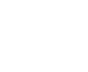 Fiat Professional